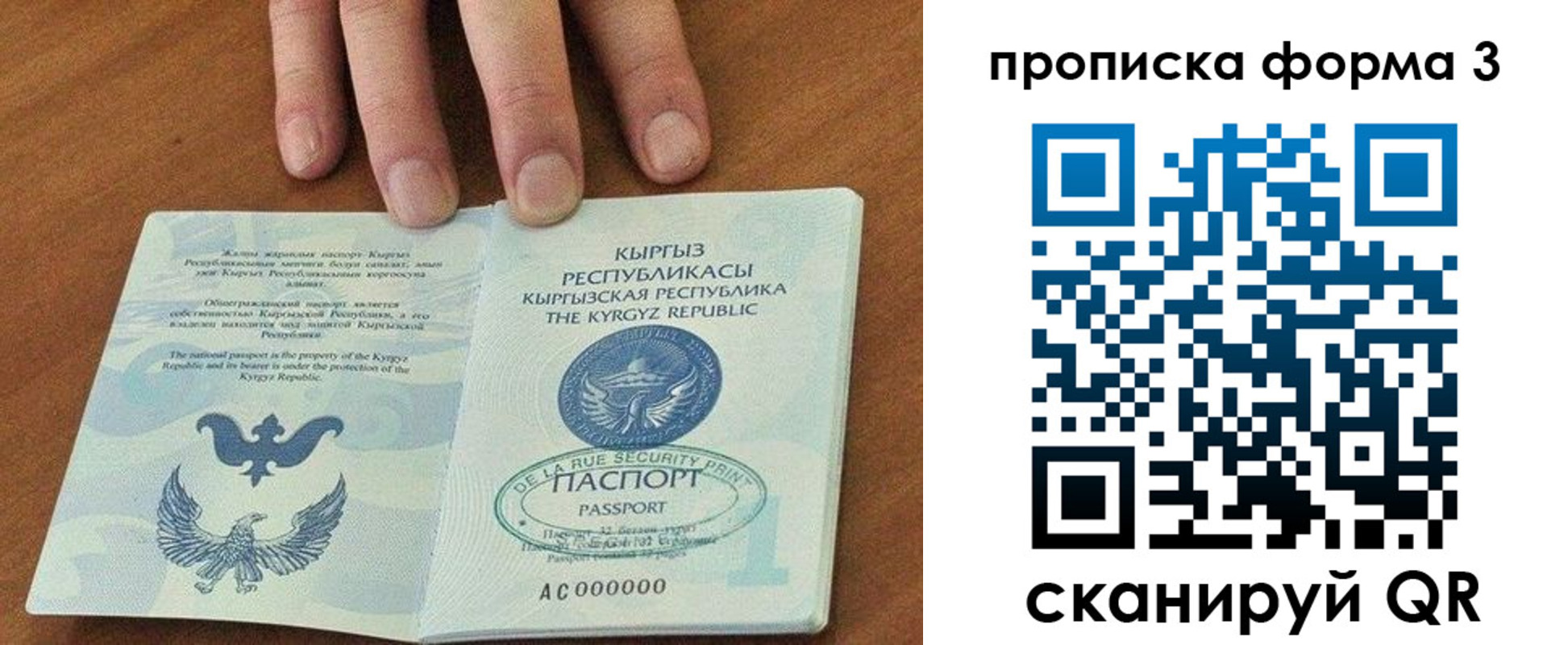 прописка 2025 в Зверево